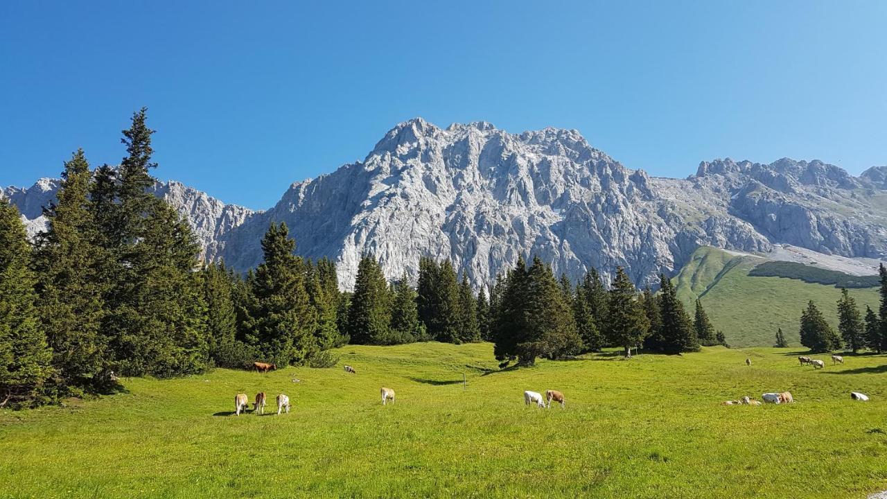Hotel Alpspitz B&B Grainau Esterno foto